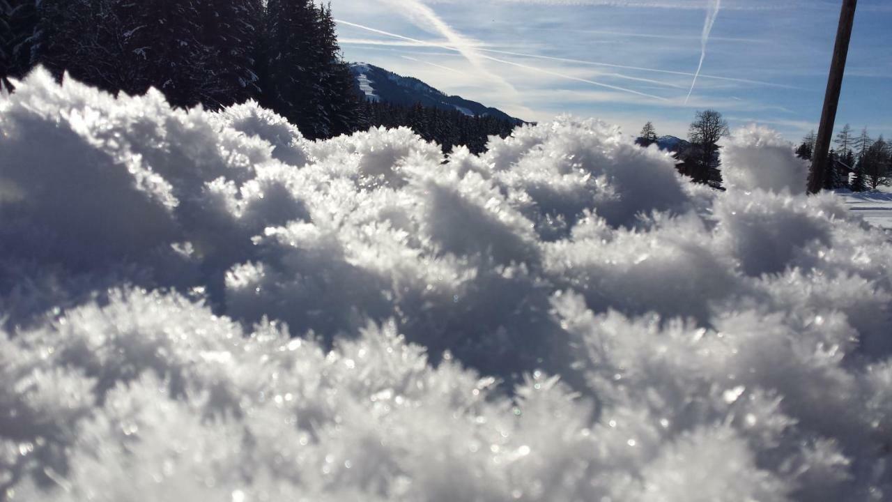 Haus Ferienglueck Apartamento Ramsau am Dachstein Exterior foto