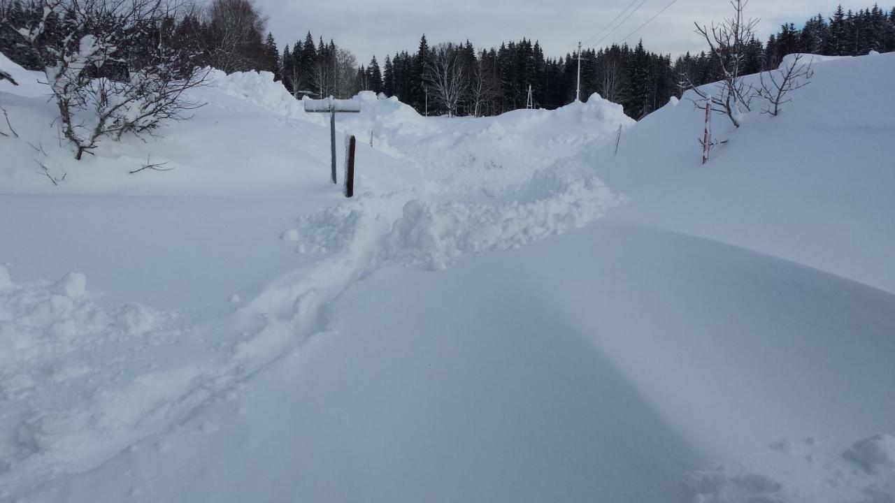 Haus Ferienglueck Apartamento Ramsau am Dachstein Exterior foto